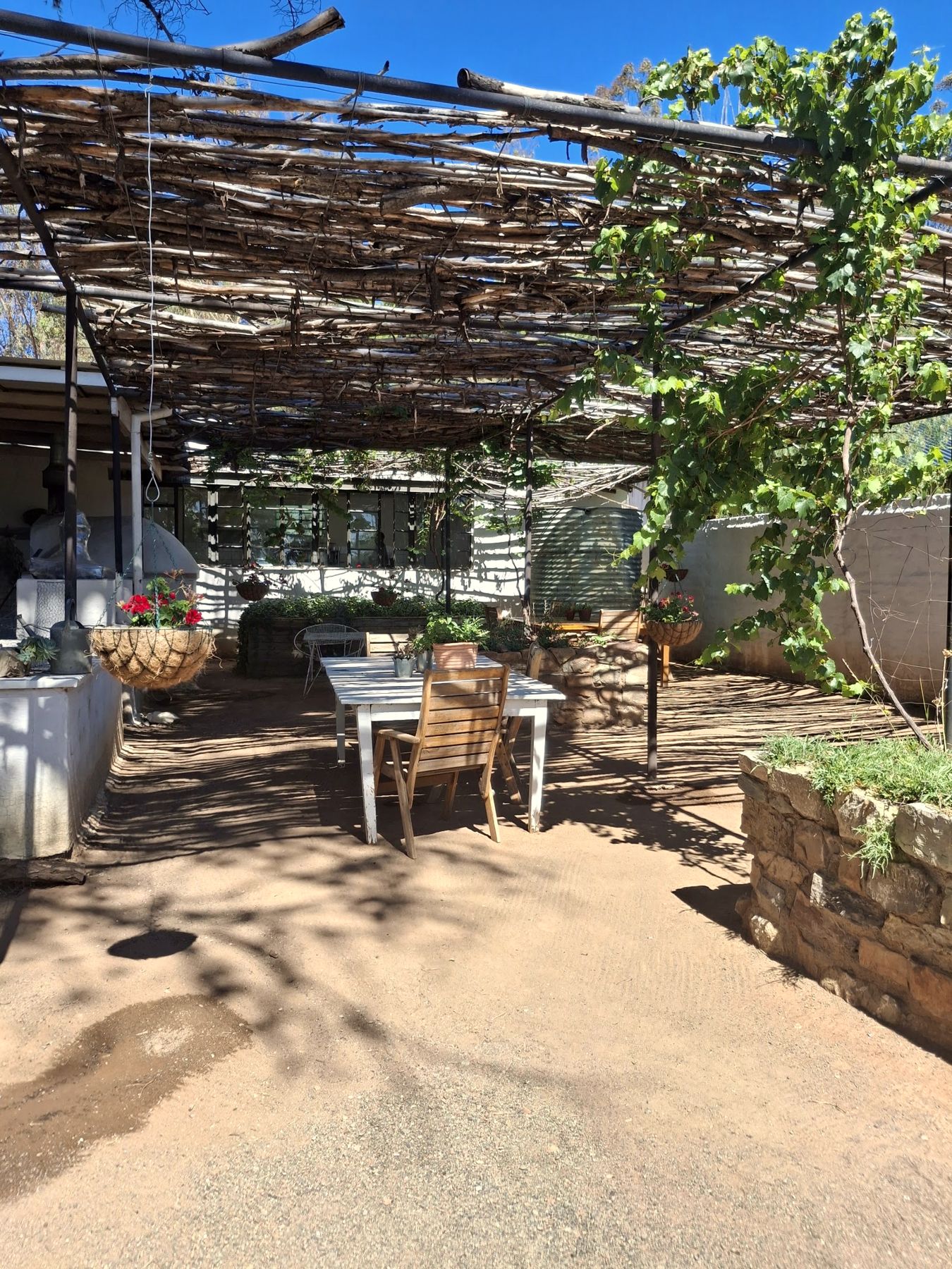 Under the pergola